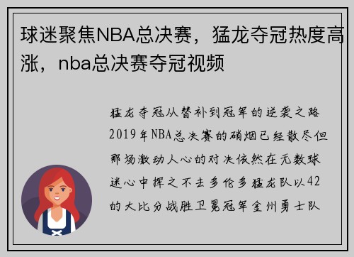 球迷聚焦NBA总决赛，猛龙夺冠热度高涨，nba总决赛夺冠视频