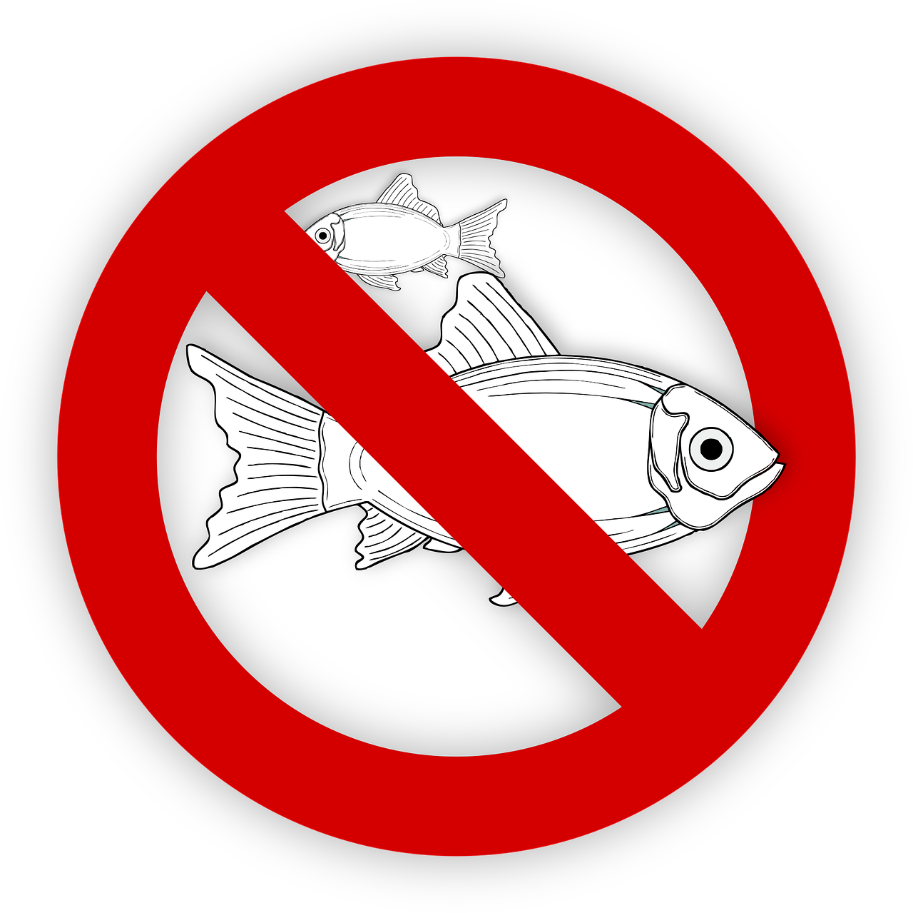 pixabay-995050-680.png